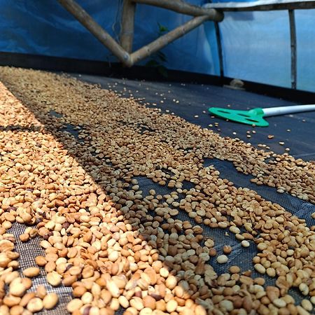 Casa Entera Finca Cometa San Agustín エクステリア 写真