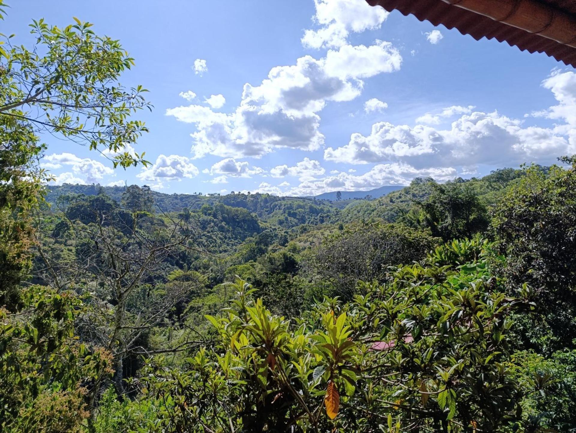 Casa Entera Finca Cometa San Agustín エクステリア 写真