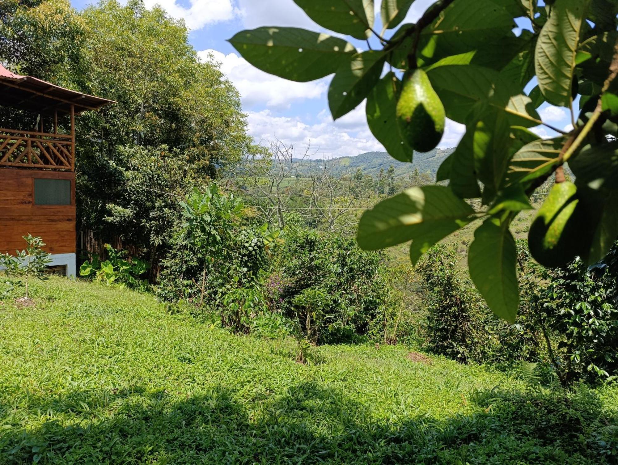 Casa Entera Finca Cometa San Agustín エクステリア 写真