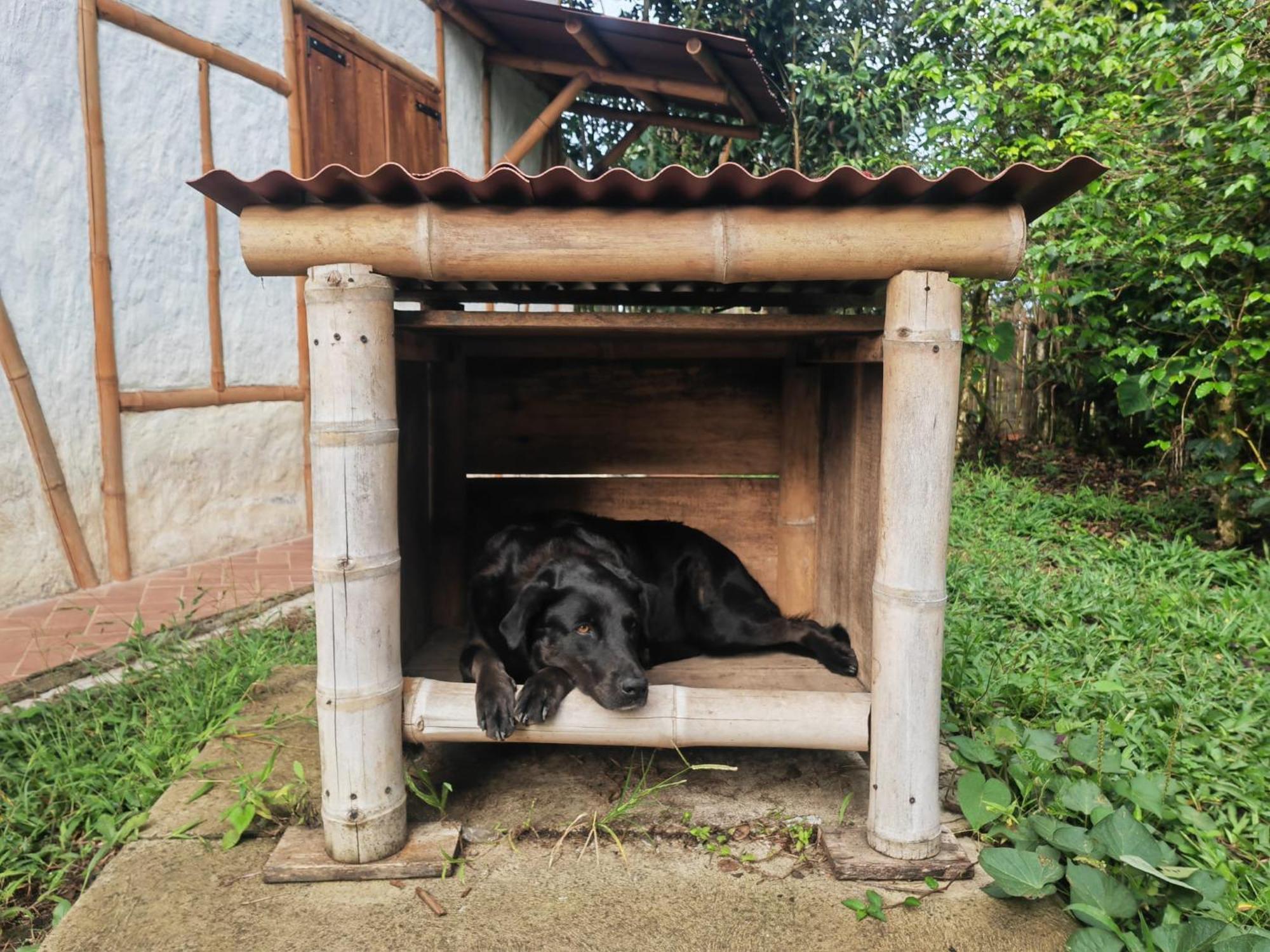 Casa Entera Finca Cometa San Agustín エクステリア 写真