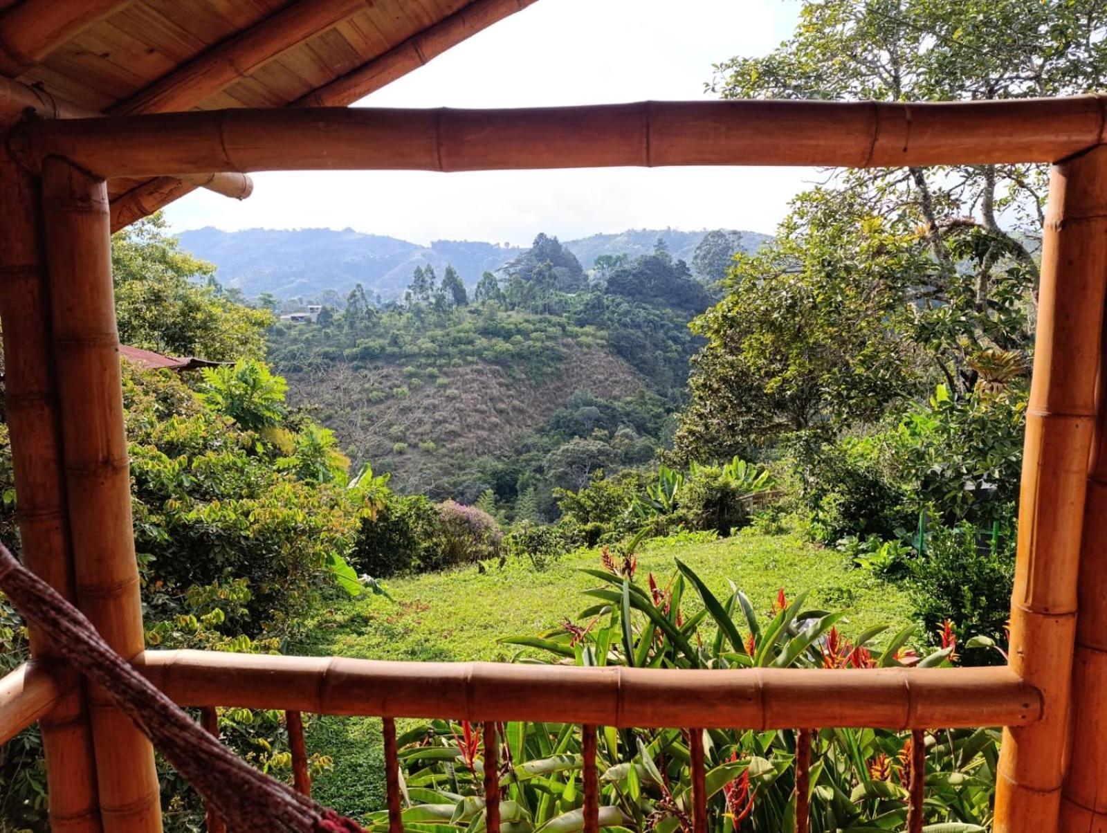 Casa Entera Finca Cometa San Agustín エクステリア 写真